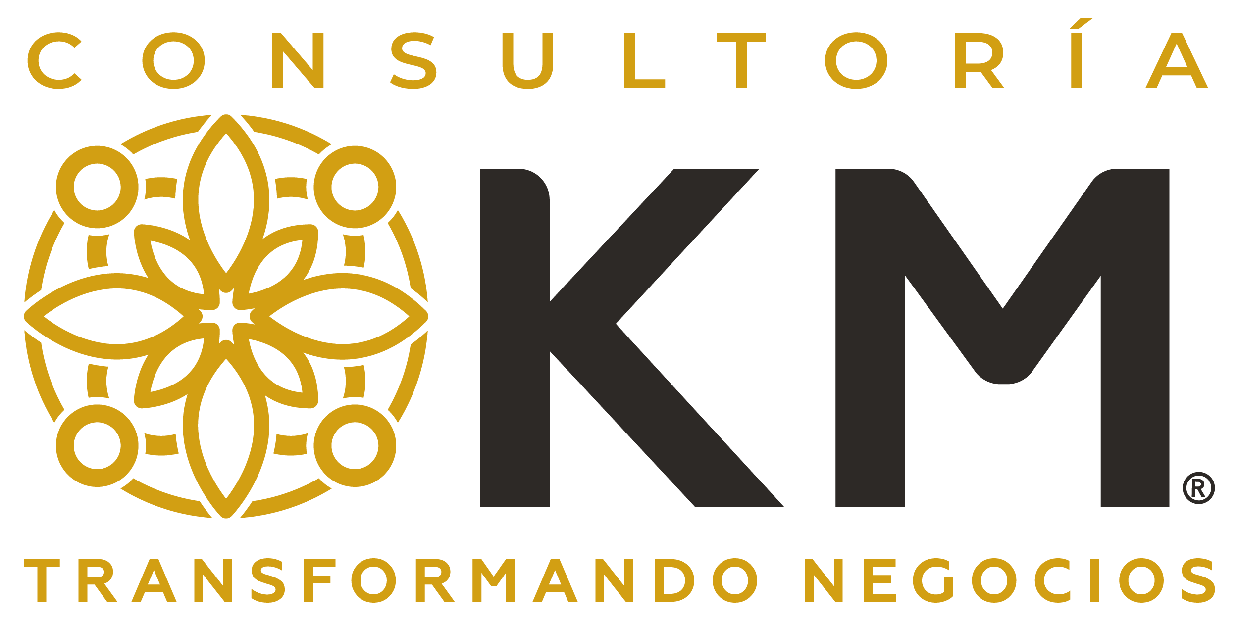 Consultoría KM